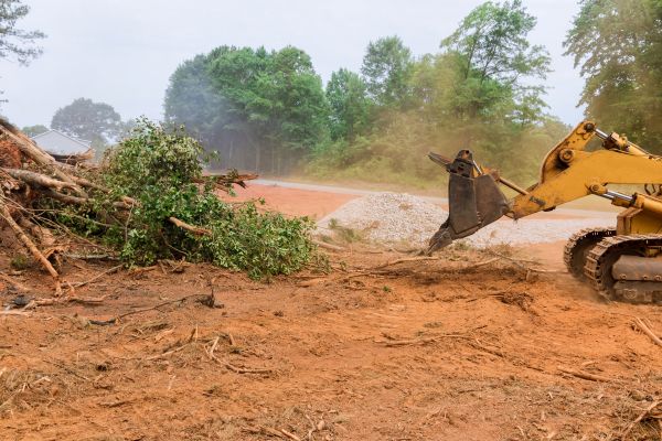 Ground Clearing in Missoula