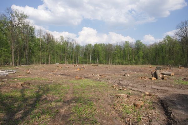 Cost of Pasture Clearing in Missoula