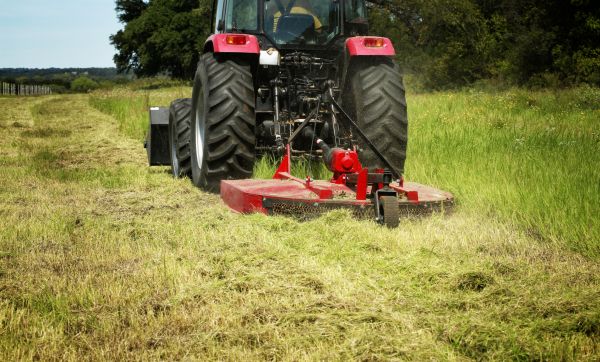 Brush Clearing Service in Missoula