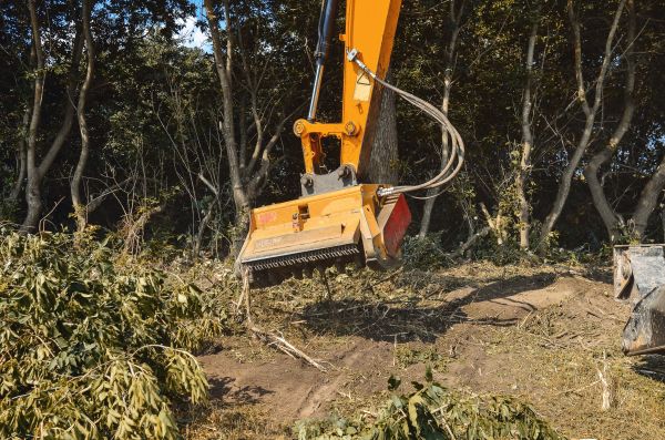 Brush Removal Service in Missoula