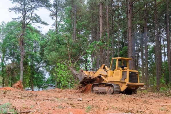 Property Clearing in Missoula