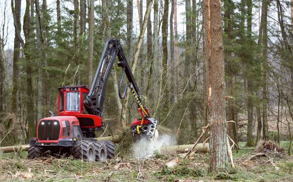 Cost of Forest Clearance Service in Missoula
