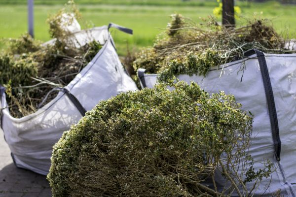 Bushes Clearing in Missoula