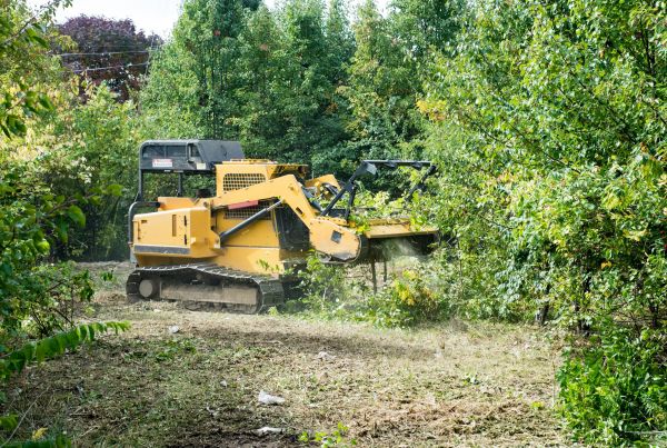 Cost of Pathway Clearing in Missoula