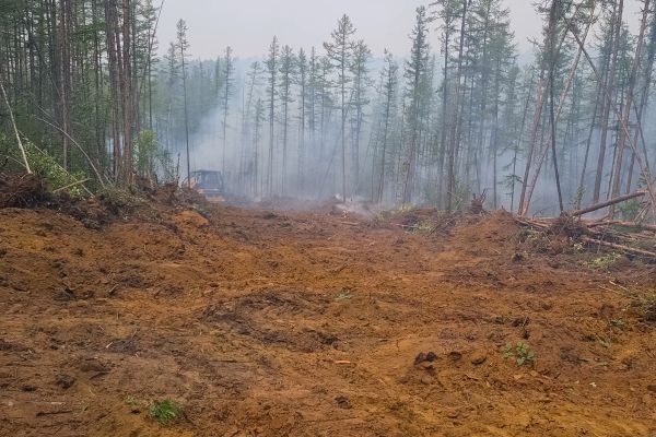 Cost of Hill Clearing in Missoula