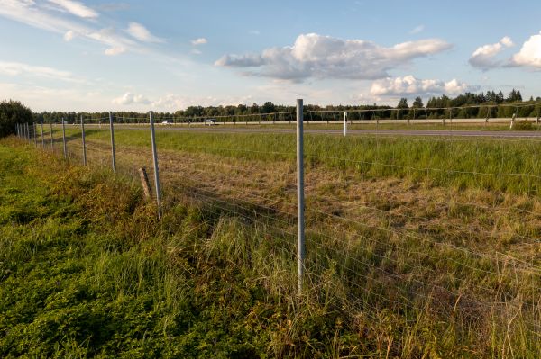 Cost of Property Line Clearing in Missoula