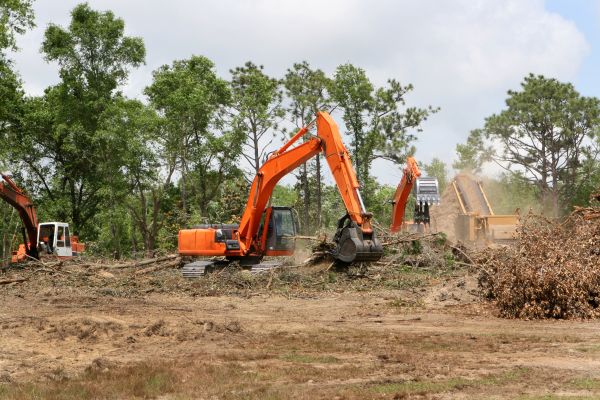 Cost of Commercial Lot Clearing in Missoula