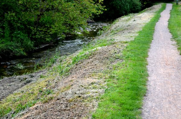 Cost of Trail Cutting in Missoula